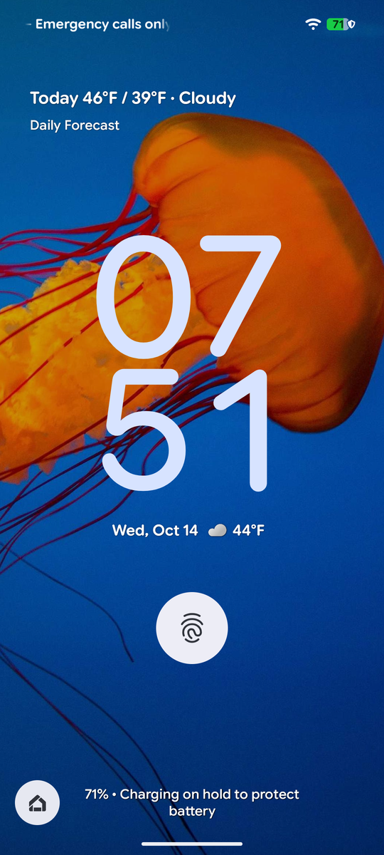 A lock screen showing a photo of a jellyfish